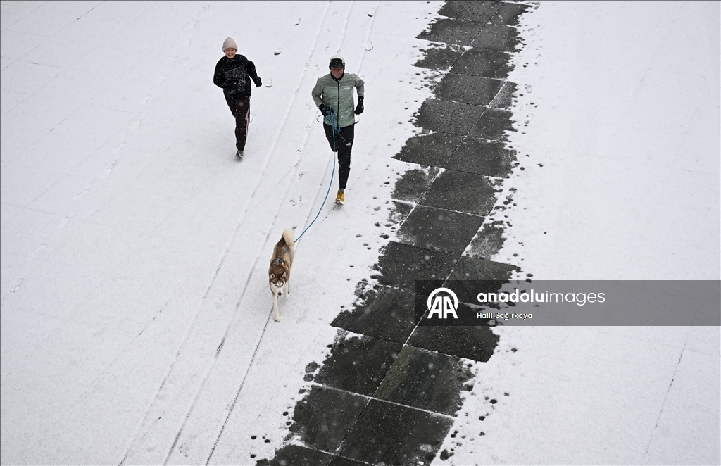 Berlin'de kar yağışı etkili oldu