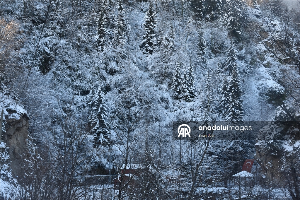 Gümüşhane'deki Çağlayandibi Şelalesi Tabiat Parkı beyaza büründü