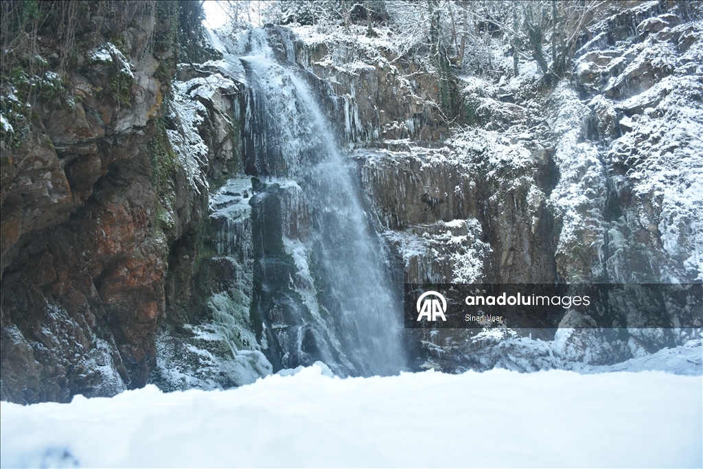 Gümüşhane'deki Çağlayandibi Şelalesi Tabiat Parkı beyaza büründü