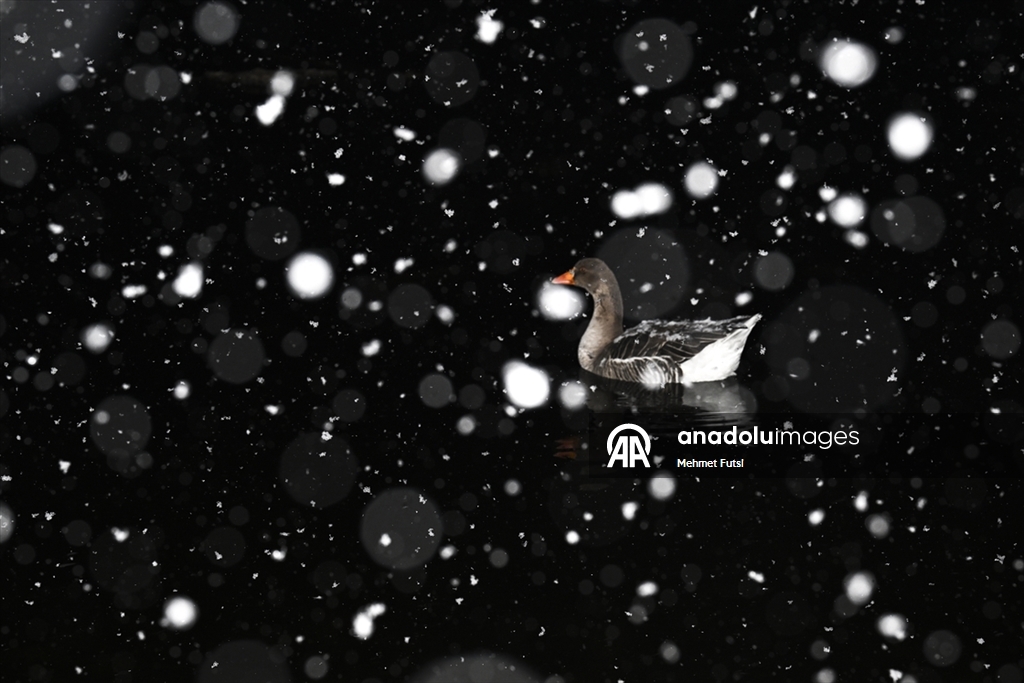 Ankara'nın yüksek kesimlerinde kar yağışı etkili oldu