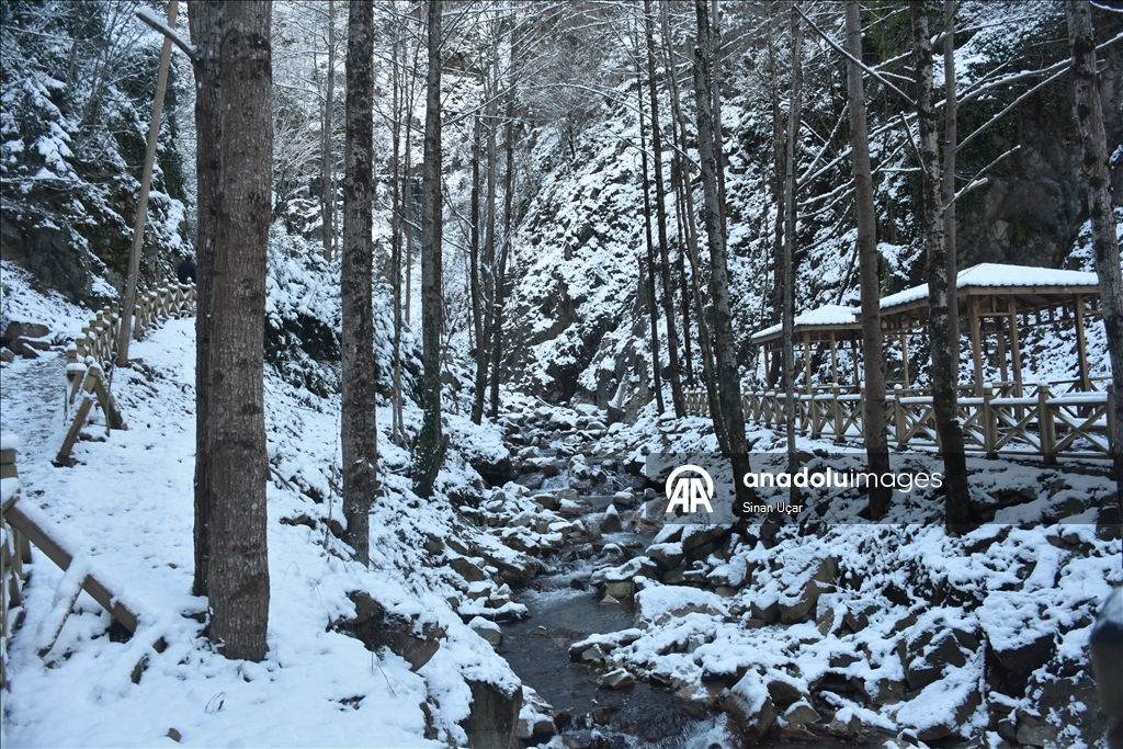 Gümüşhane'deki Çağlayandibi Şelalesi Tabiat Parkı beyaza büründü