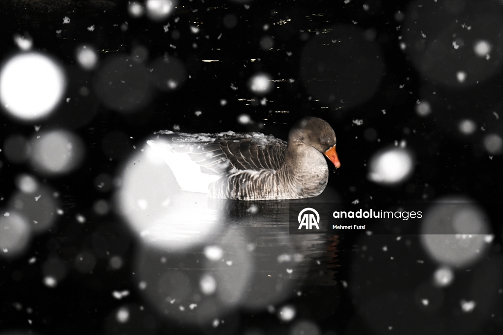 Ankara'nın yüksek kesimlerinde kar yağışı etkili oldu