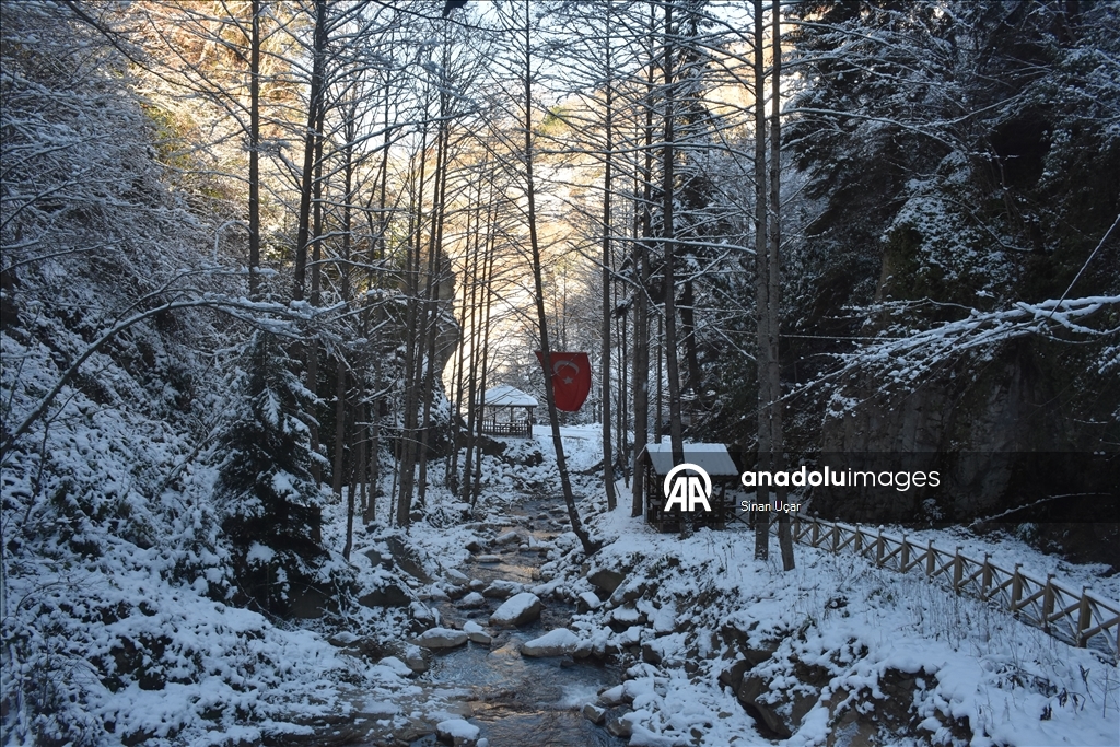Gümüşhane'deki Çağlayandibi Şelalesi Tabiat Parkı beyaza büründü