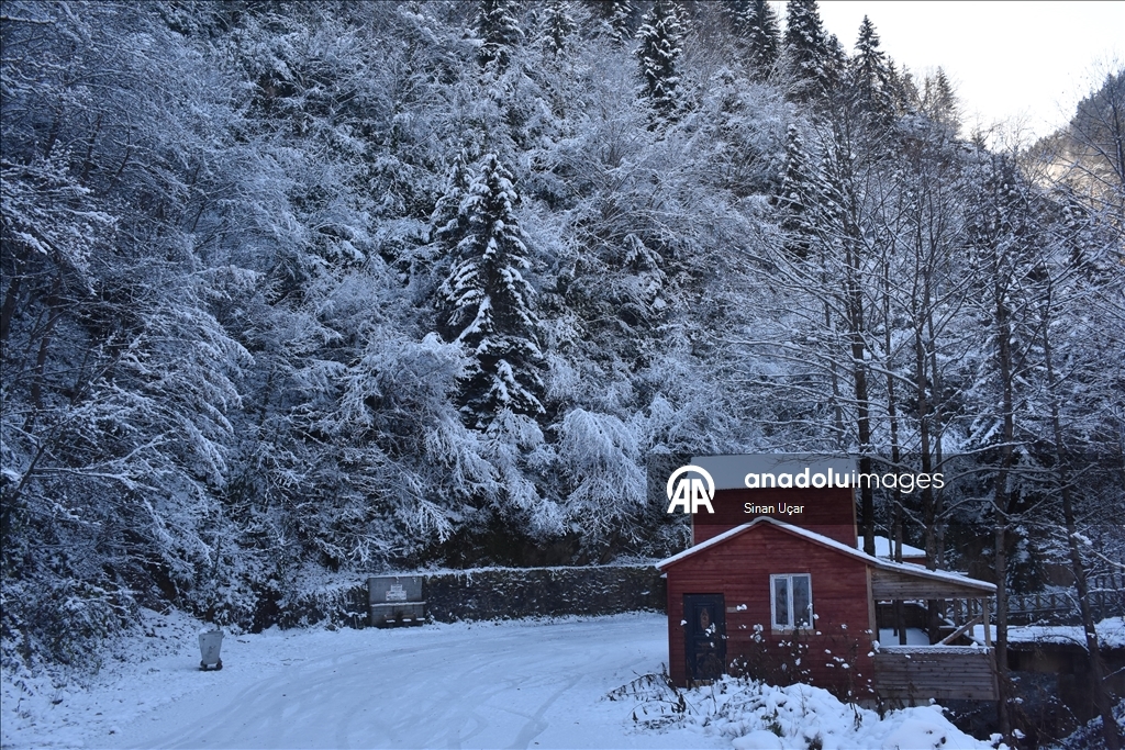 Gümüşhane'deki Çağlayandibi Şelalesi Tabiat Parkı beyaza büründü