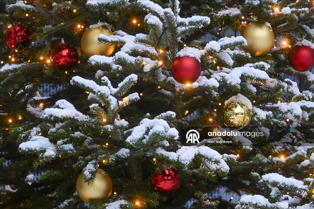 Berlin'de kar yağışı etkili oldu