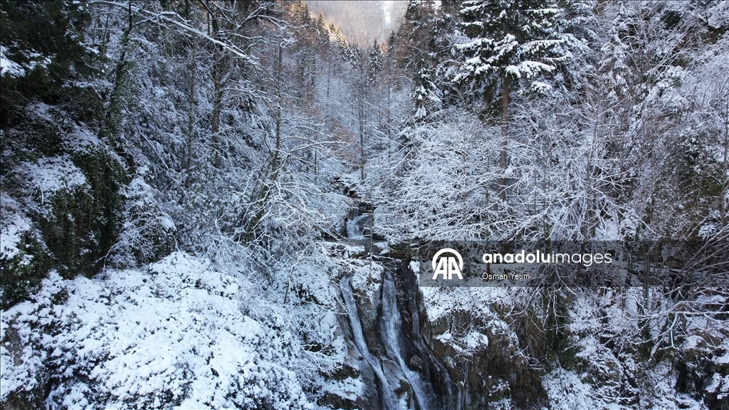 Gümüşhane'deki Çağlayandibi Şelalesi Tabiat Parkı beyaza büründü