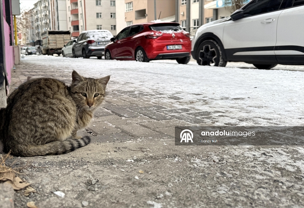 Yurdun birçok ilinde kar etkili oluyor