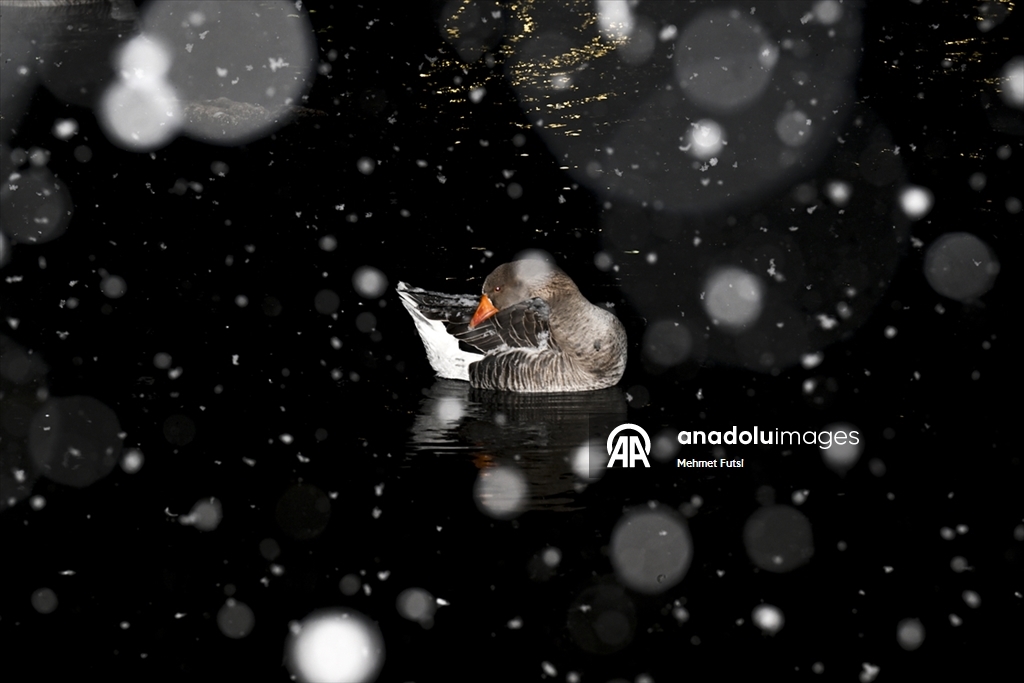 Ankara'nın yüksek kesimlerinde kar yağışı etkili oldu