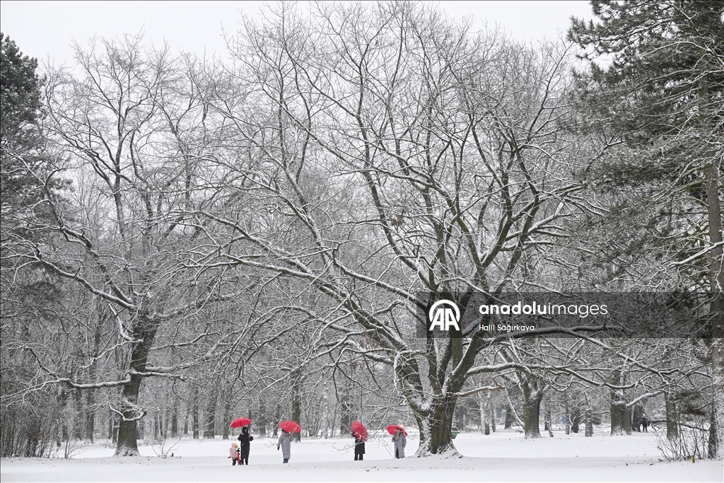 Berlin'de kar yağışı etkili oldu