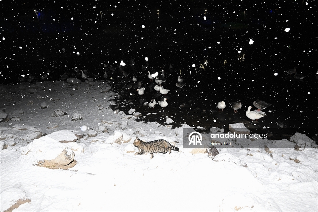 Ankara'nın yüksek kesimlerinde kar yağışı etkili oldu