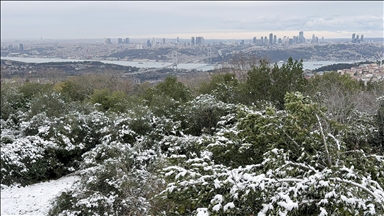 İstanbul'da kar yağışının etkisiyle bazı bölgeler beyaza büründü