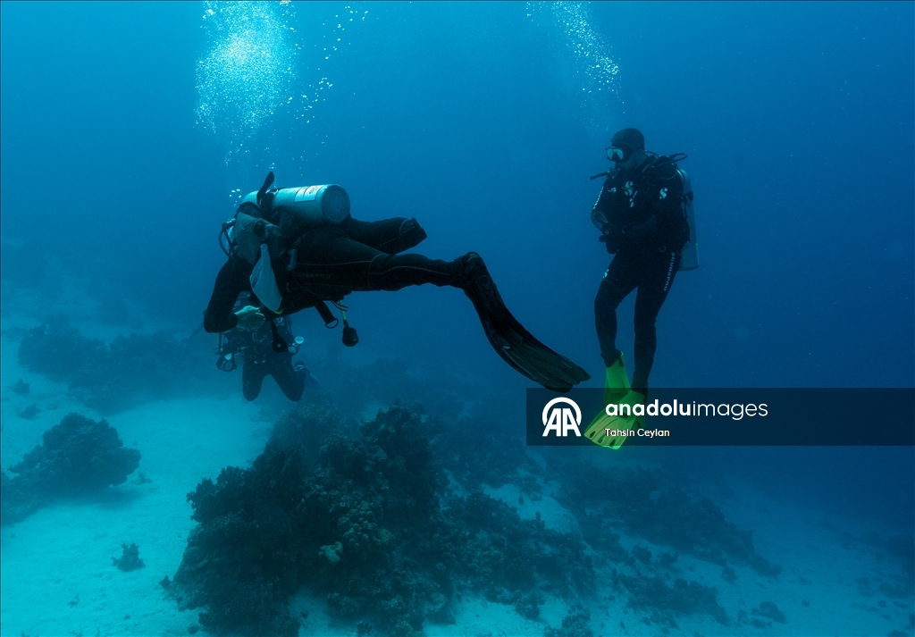 Подводный оператор Тахсин Джейлан совершил погружение в Красном море вместе с дайвером с инвалидностью