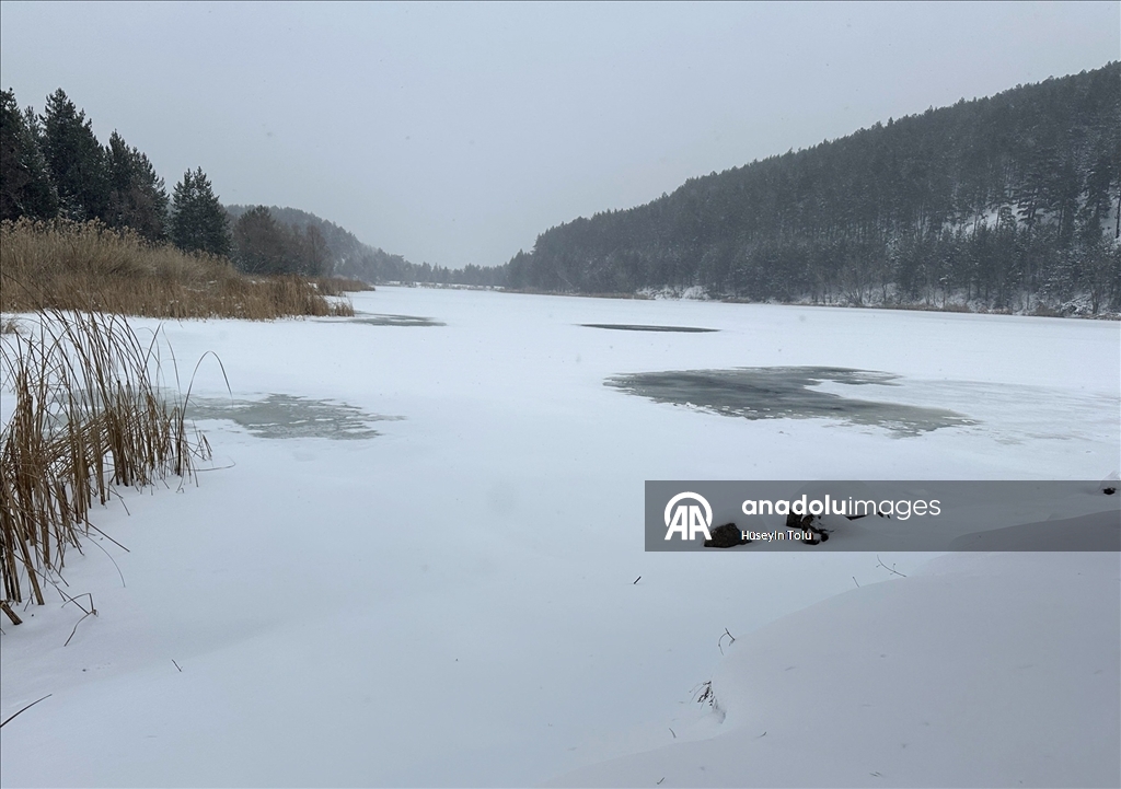 Ankara'da kar yağışı