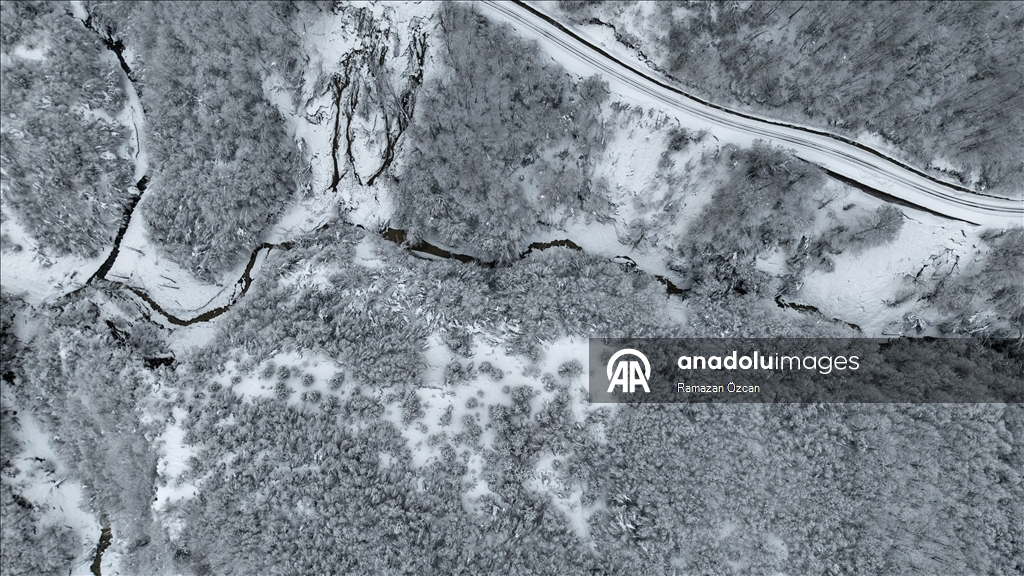 Sinop'ta ormanlarda oluşan kar güzelliği dronla görüntülendi
