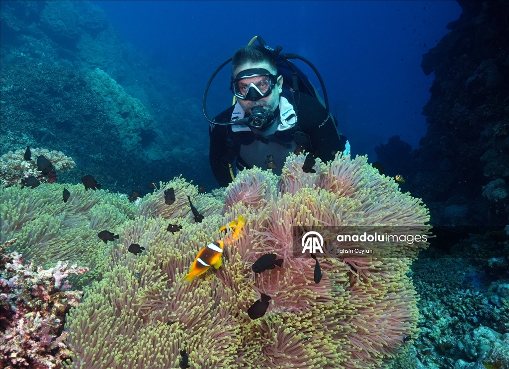 Подводный оператор Тахсин Джейлан совершил погружение в Красном море вместе с дайвером с инвалидностью
