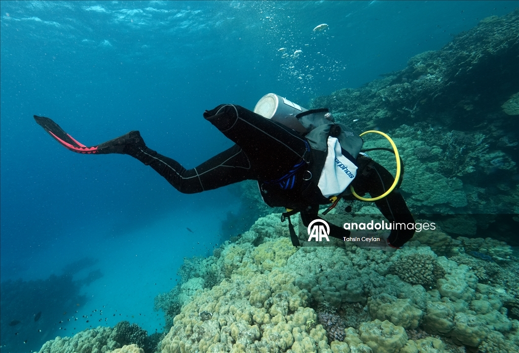 Подводный оператор Тахсин Джейлан совершил погружение в Красном море вместе с дайвером с инвалидностью