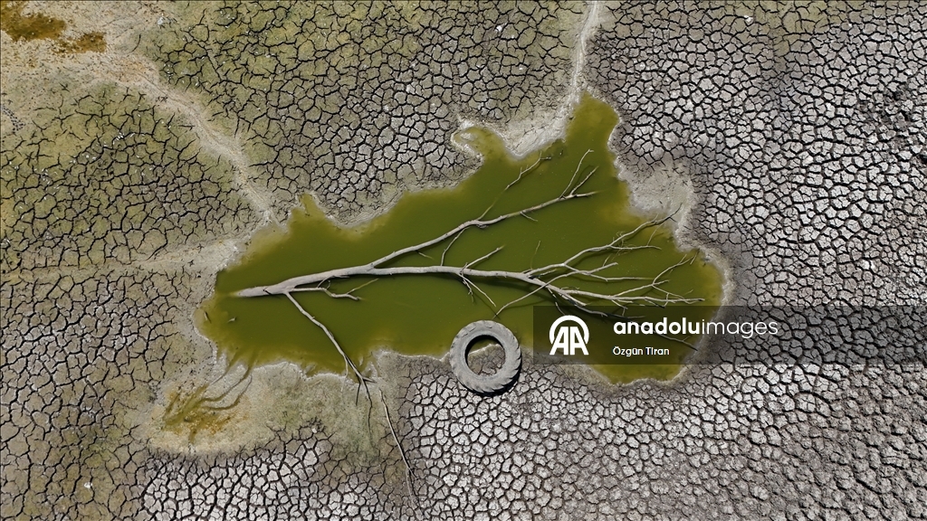 Kırklareli'nde kuruyan gölette balık ölümleri