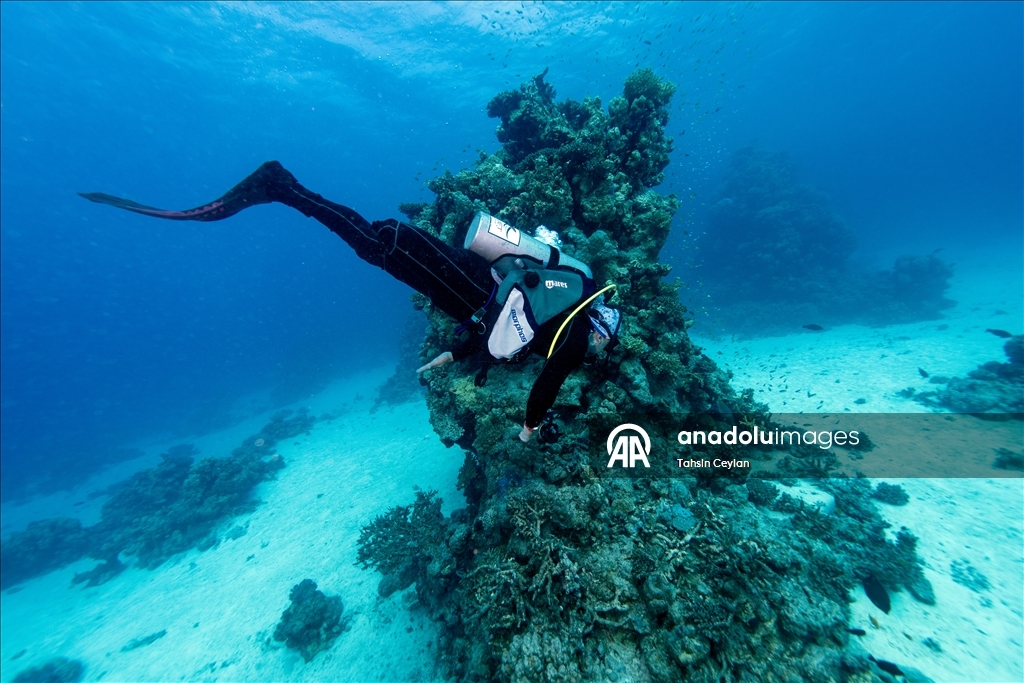 Подводный оператор Тахсин Джейлан совершил погружение в Красном море вместе с дайвером с инвалидностью