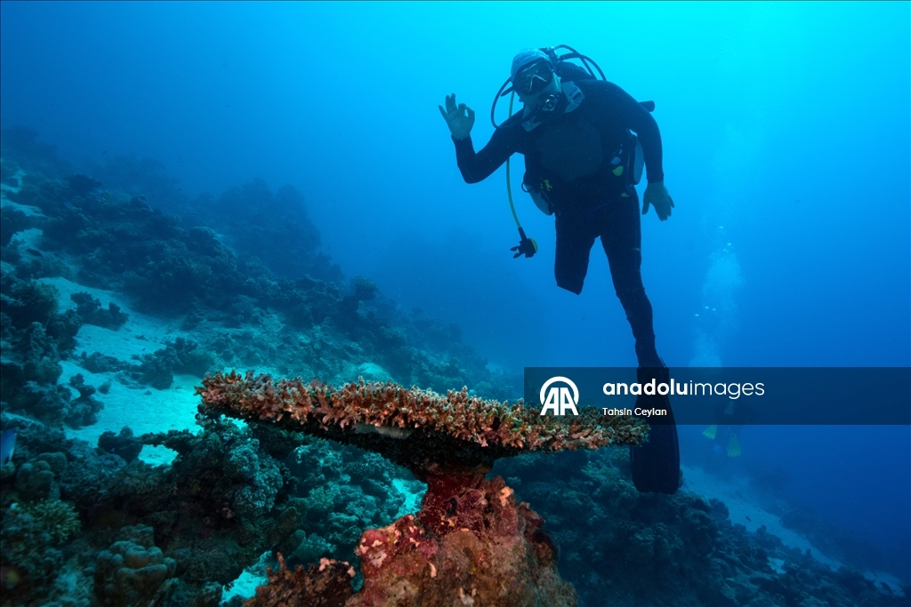 Подводный оператор Тахсин Джейлан совершил погружение в Красном море вместе с дайвером с инвалидностью