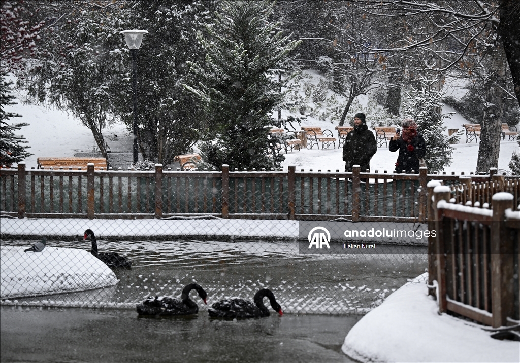 Ankara'da kar yağışı
