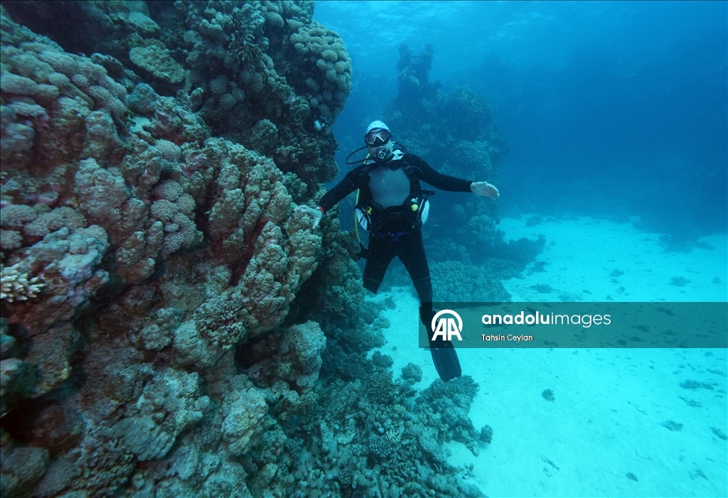 Подводный оператор Тахсин Джейлан совершил погружение в Красном море вместе с дайвером с инвалидностью