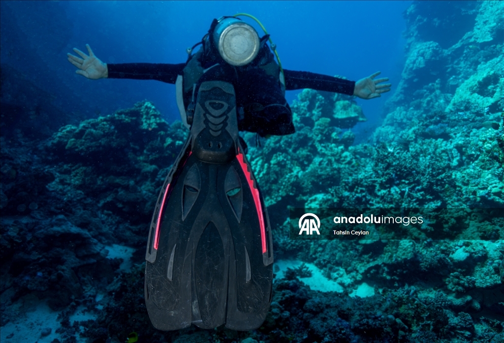 Подводный оператор Тахсин Джейлан совершил погружение в Красном море вместе с дайвером с инвалидностью