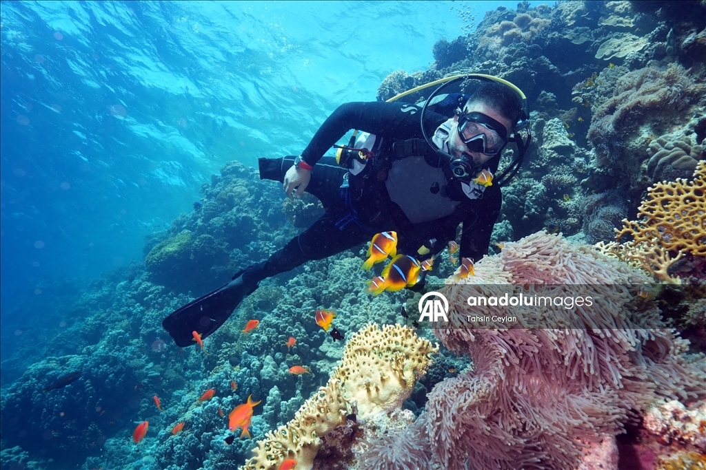 Подводный оператор Тахсин Джейлан совершил погружение в Красном море вместе с дайвером с инвалидностью