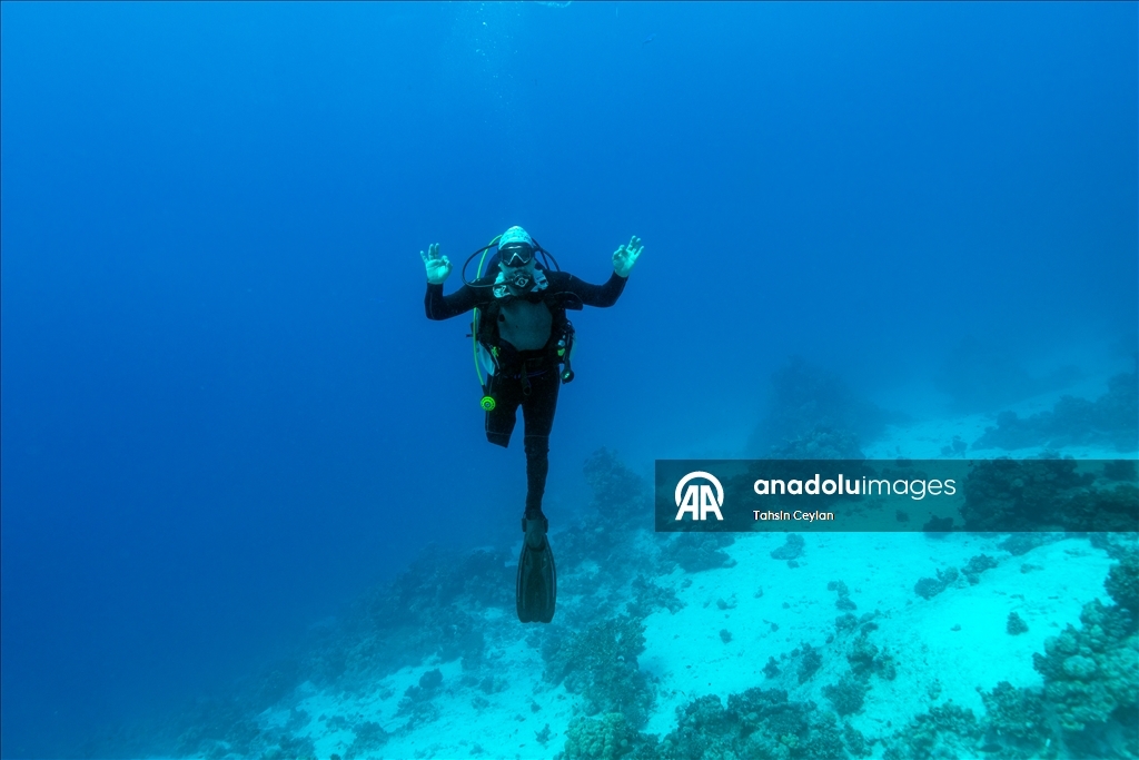 Подводный оператор Тахсин Джейлан совершил погружение в Красном море вместе с дайвером с инвалидностью