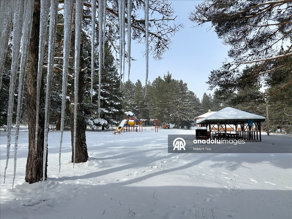 Ankara'da kar yağışı