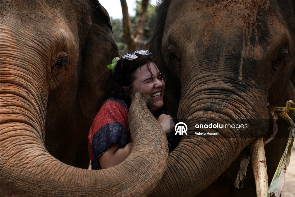 Fil Özgürlük Köyü insanlarla filler arasındaki geleneksel uyumu yaşatmaya devam ediyor