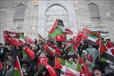 В Стамбуле проходит масштабная акция солидарности с Палестиной