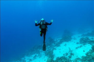 Подводный оператор Тахсин Джейлан совершил погружение в Красном море вместе с дайвером с инвалидностью