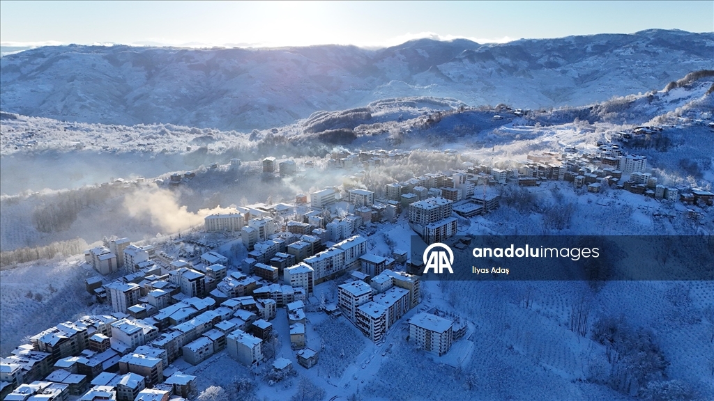 Ordu'da kar etkili oldu