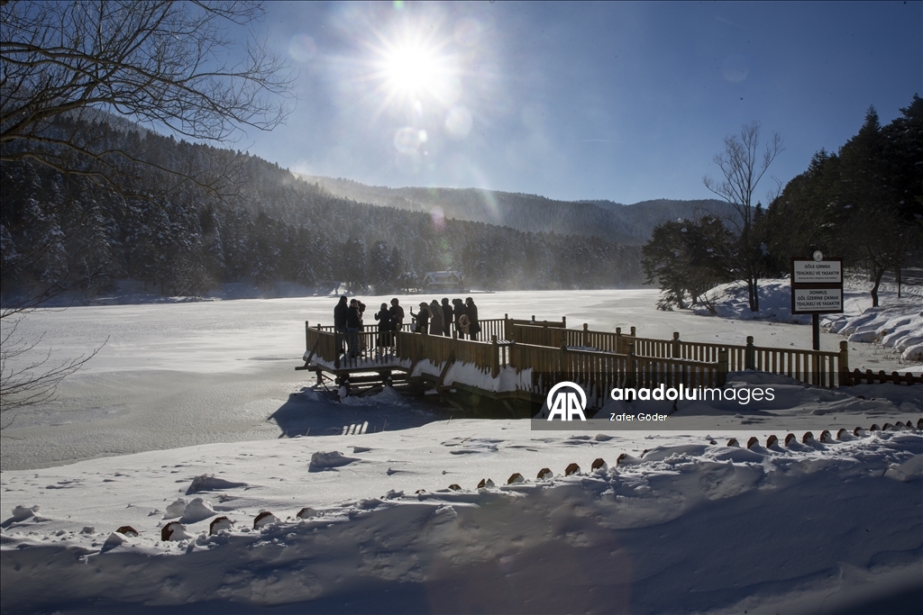 بحيرة متجمدة ورياح عاتية.. مشاهد شتوية أخّاذة في "غولجوك" التركية