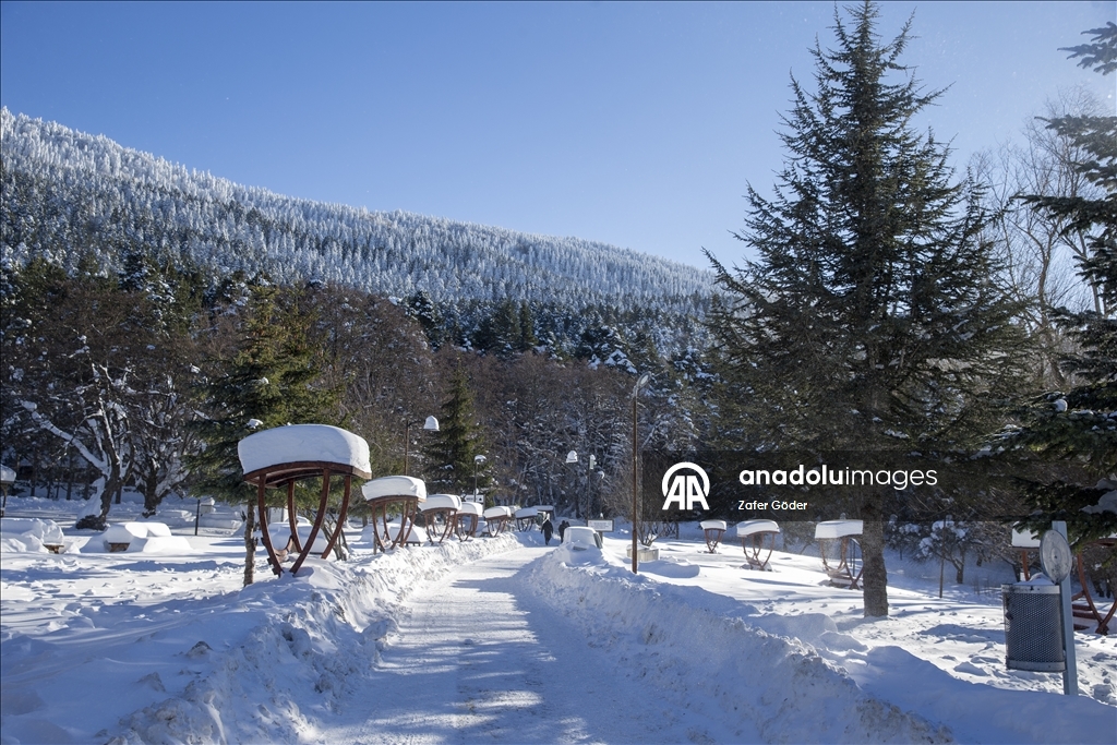 بحيرة متجمدة ورياح عاتية.. مشاهد شتوية أخّاذة في "غولجوك" التركية