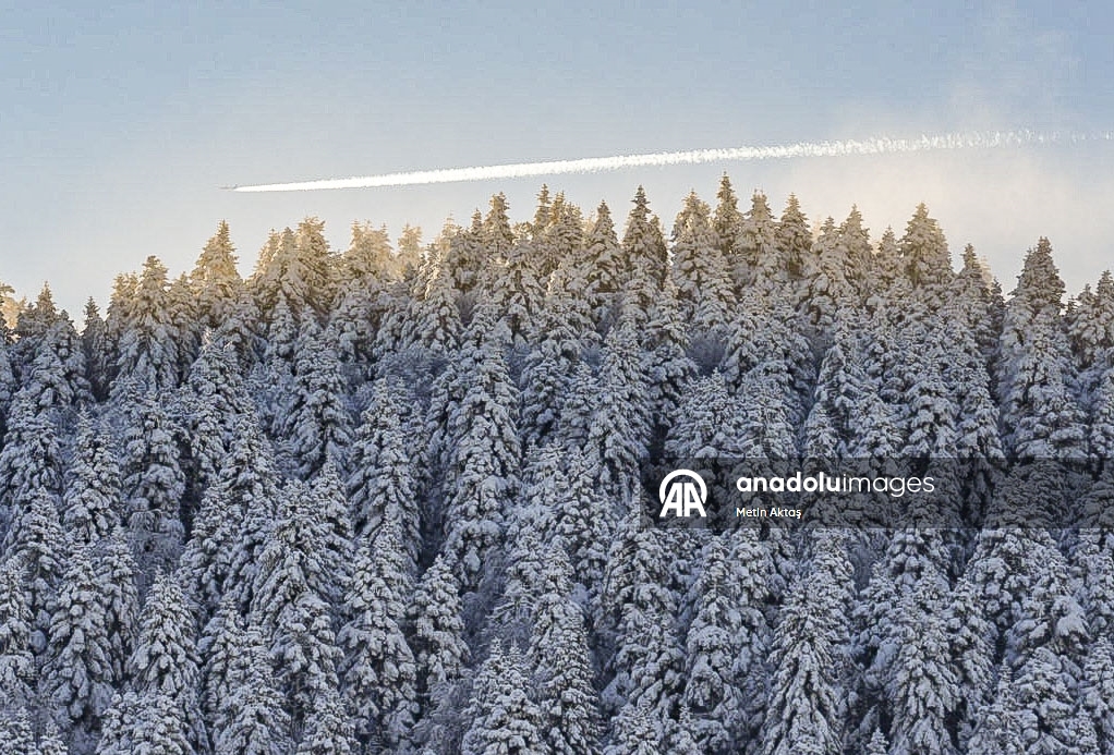 Abant Dağları'nda gün doğumu