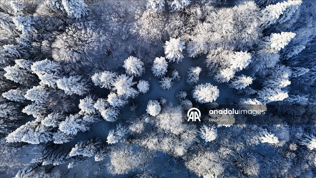 Заснеженная гора Чам снята с высоты птичьего полета