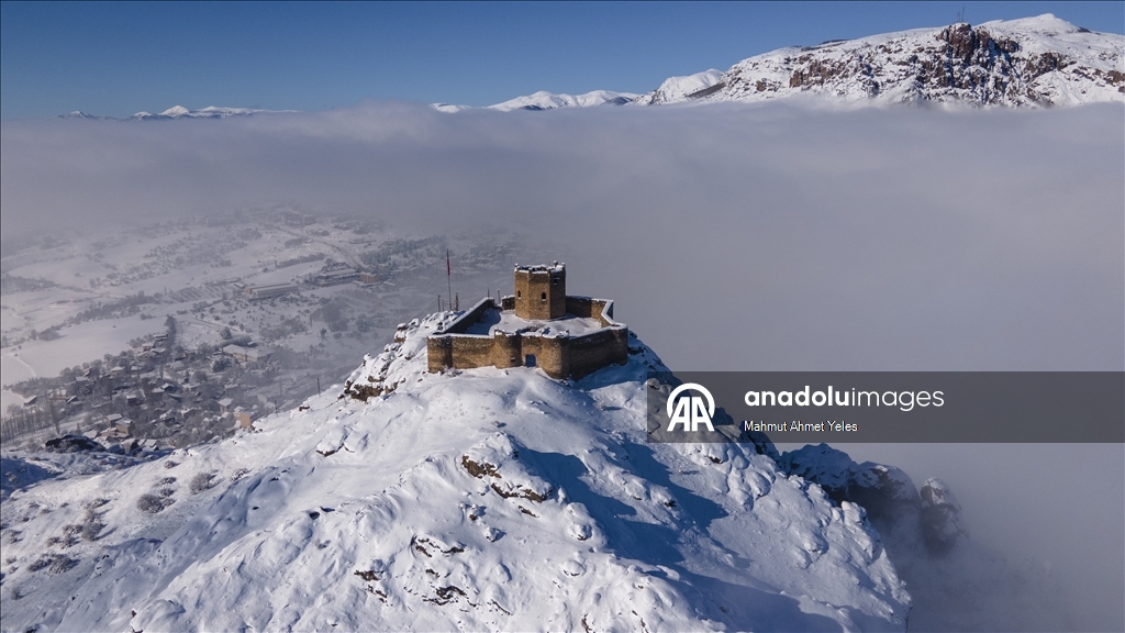 Şebinkarahisar'da kar ve sis