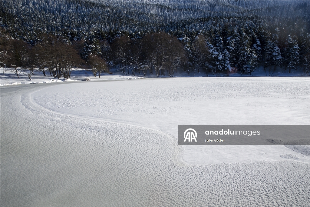 بحيرة متجمدة ورياح عاتية.. مشاهد شتوية أخّاذة في "غولجوك" التركية