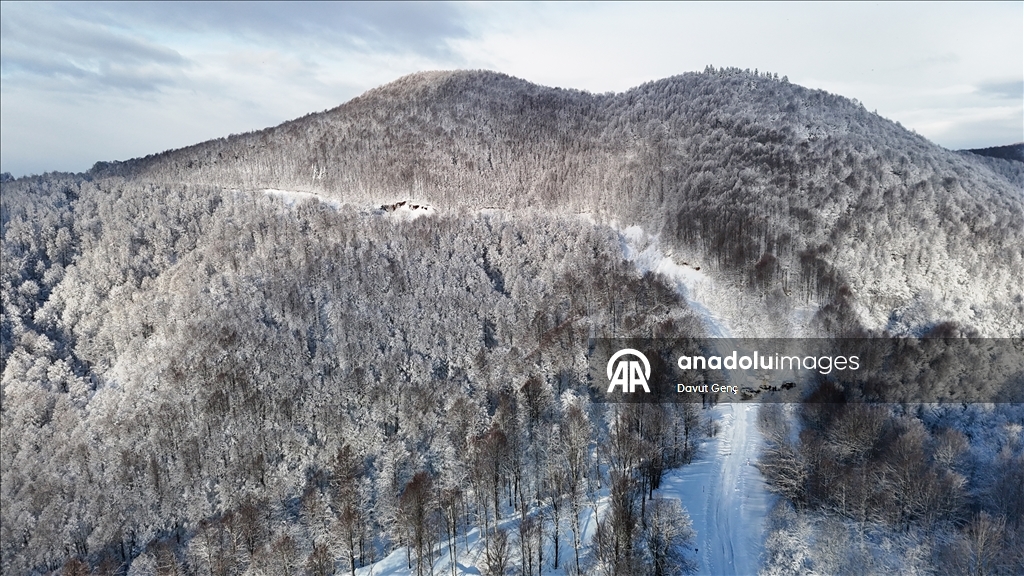 Beyaz örtüyle kaplanan Çam Dağı havadan görüntülendi