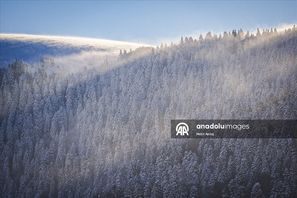 Abant Dağları'nda gün doğumu