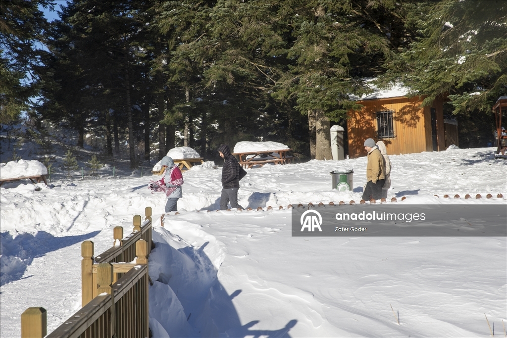 بحيرة متجمدة ورياح عاتية.. مشاهد شتوية أخّاذة في "غولجوك" التركية
