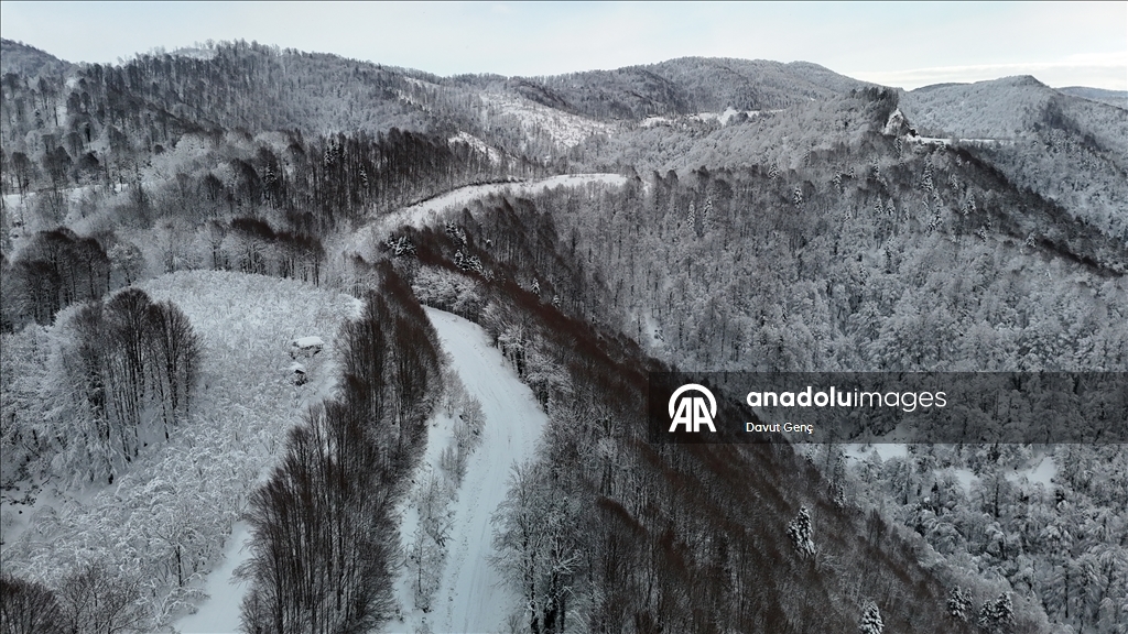 Beyaz örtüyle kaplanan Çam Dağı havadan görüntülendi