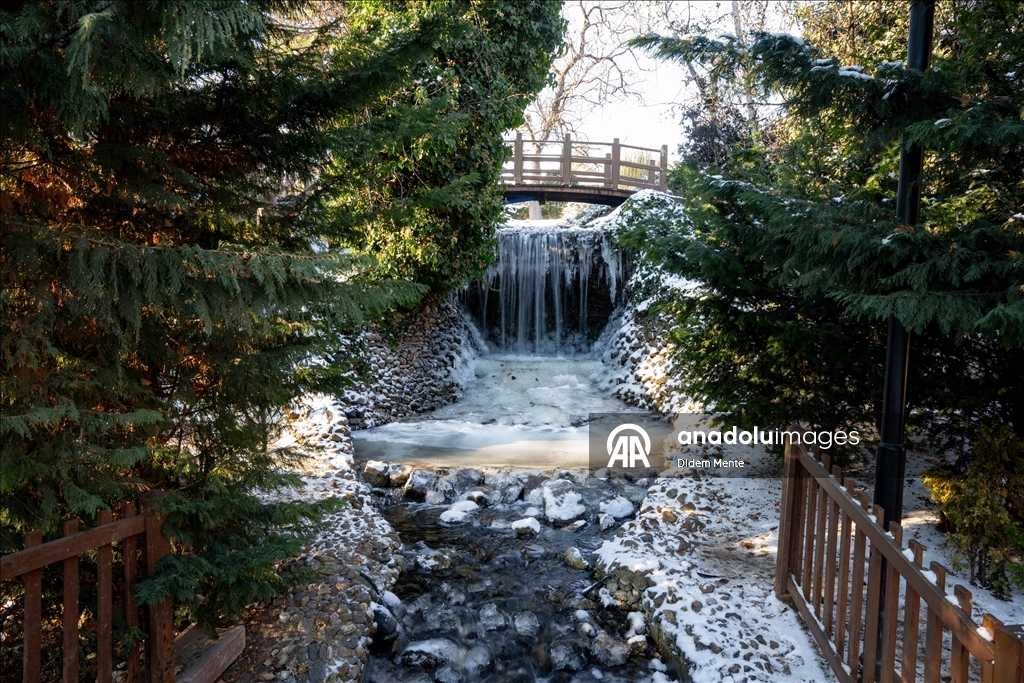 Başkentin simgelerinden Kuğulu Park'taki havuzun yüzeyi buz tuttu