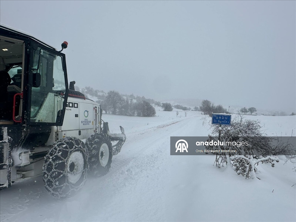Ordu'da kar etkili oldu