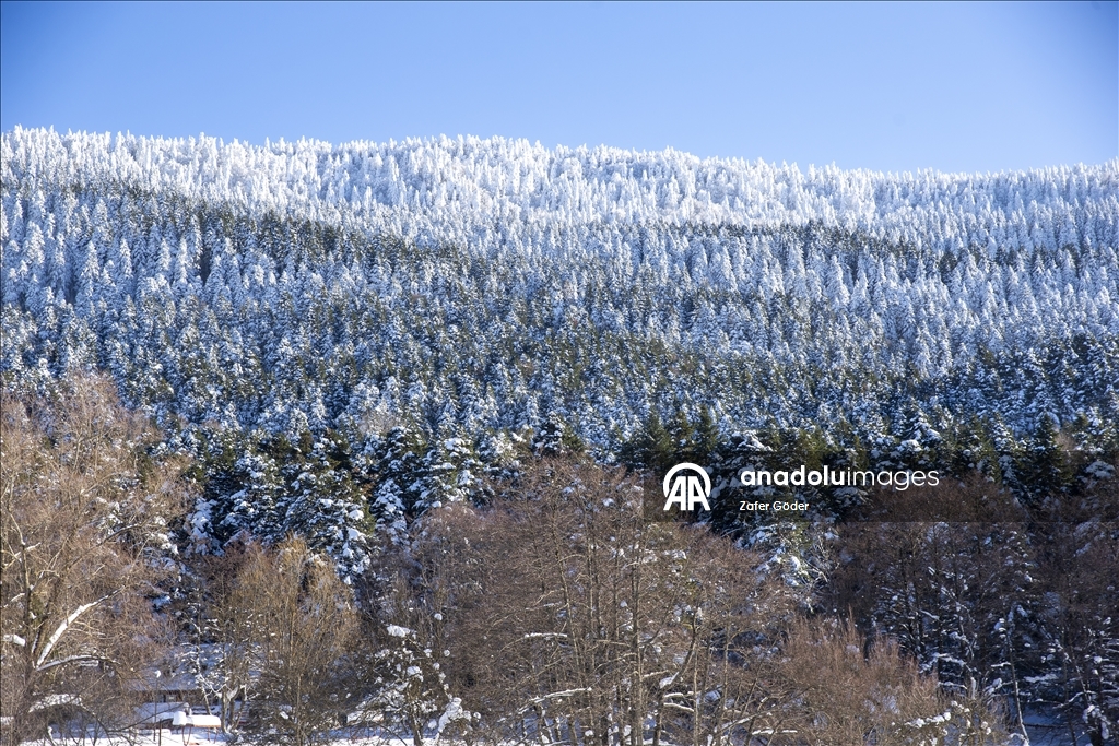 بحيرة متجمدة ورياح عاتية.. مشاهد شتوية أخّاذة في "غولجوك" التركية