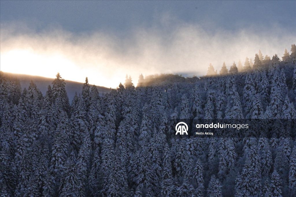 Abant Dağları'nda gün doğumu
