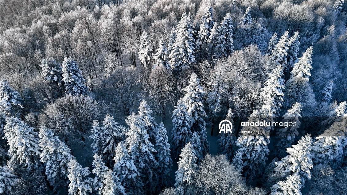 Beyaz örtüyle kaplanan Çam Dağı havadan görüntülendi