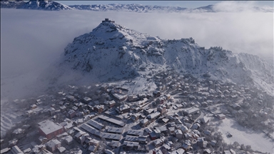 Şebinkarahisar'da kar ve sis