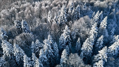Заснеженная гора Чам снята с высоты птичьего полета